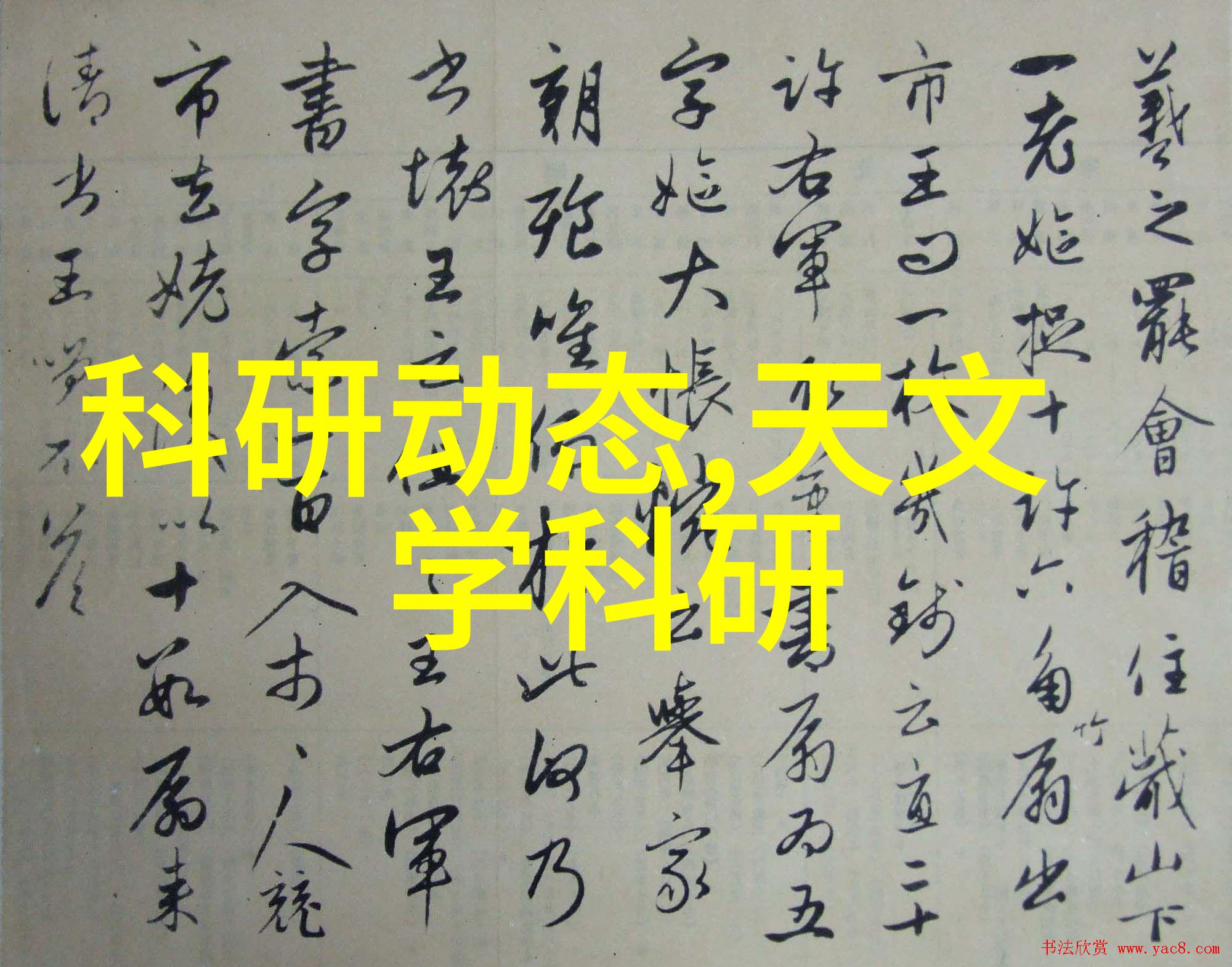 生物活性炭在有机物质去除方面的应用潜力分析