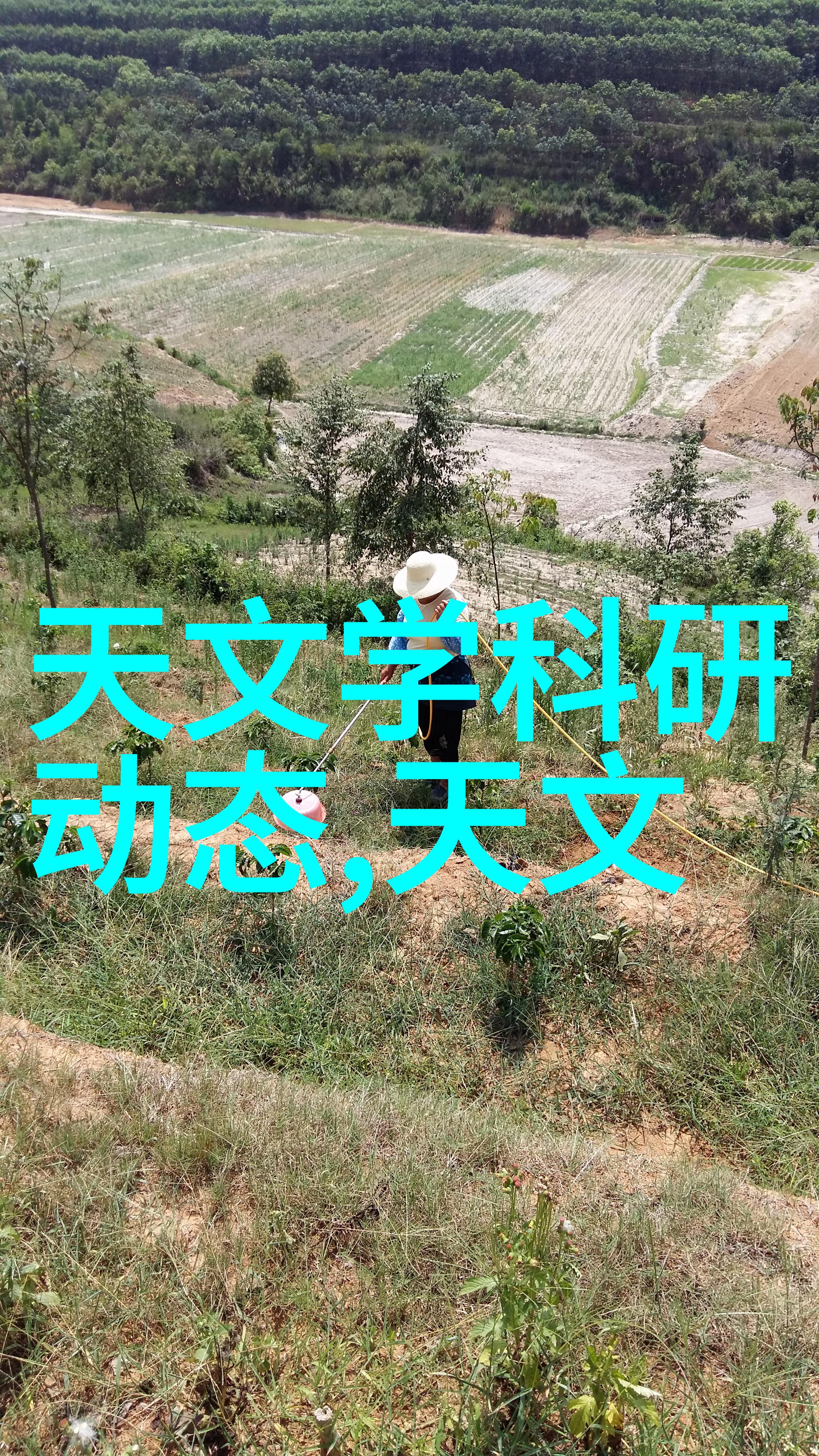 科学评价研究院深度探究学术成果的价值与影响