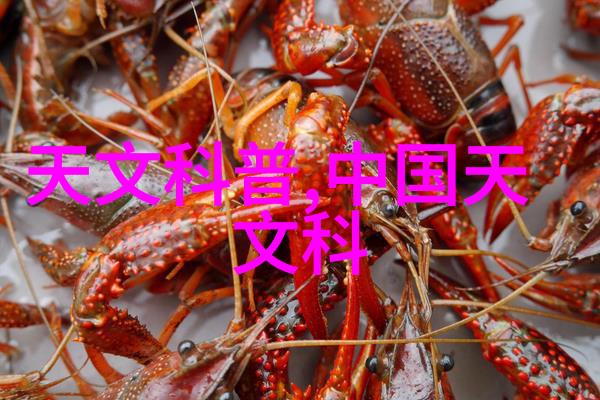 西南财经大学蜕变中的经济学府探索金融创新与管理智慧的殿堂