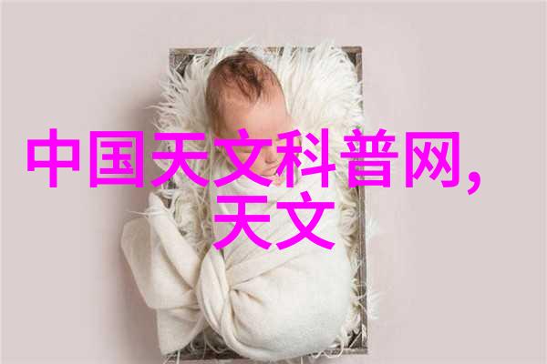 机器之心Scr反应器的诗意裂变