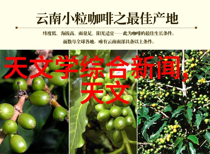 小卧室装修效果图中应注意哪些设计细节