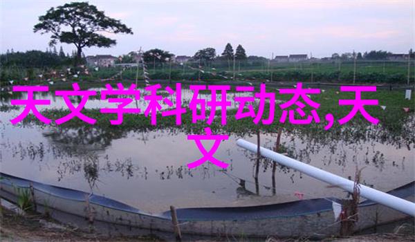 智慧之桥中国建设教育协会的征程
