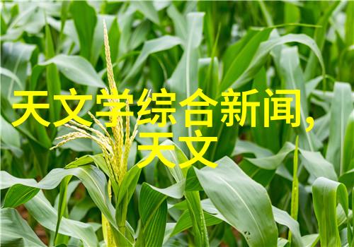 化学实验室设备高精度天平恒温水浴锅离心机