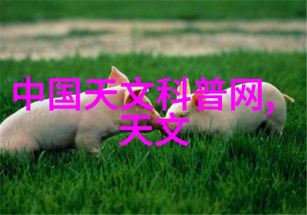 切制技巧提升烹饪水平的秘密武器