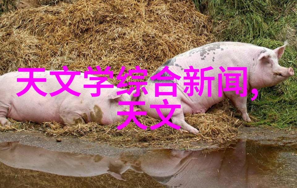 人物100平米四房一厅装修效果图卫生间装修流程简便最关键五步骤详解不需谢罪