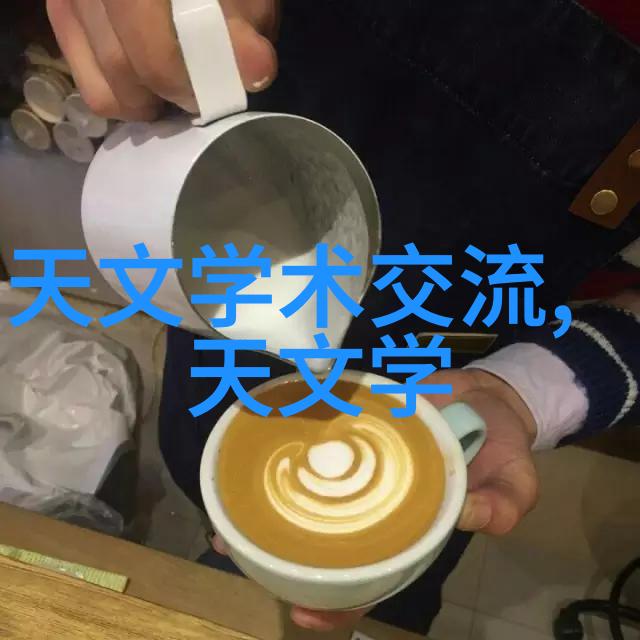 鲍尔环填料一立方多重理论框架与实验验证的探索