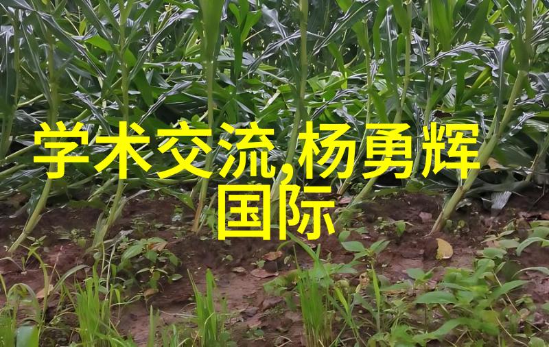 中国中车股票分红配股消息背后隐藏着什么秘密