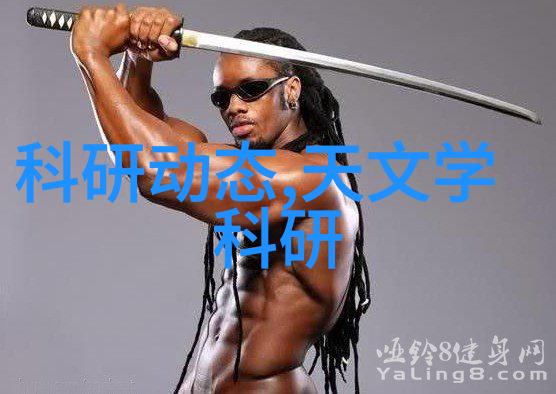 碟片分离机旋转中的秩序守护者