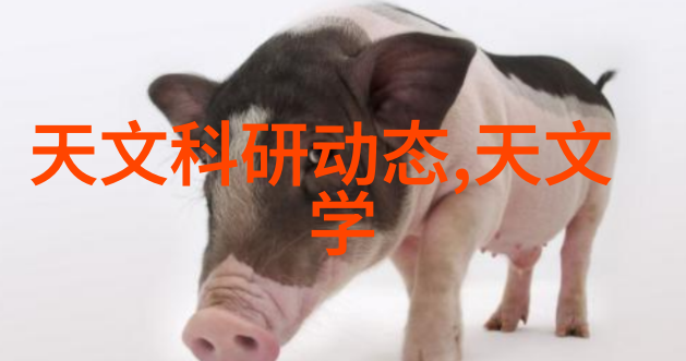 输送设备的精细化运作确保物流高效无阻