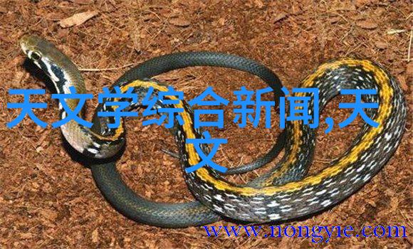 电视机那家最好品质消费观让伪性价比消退Vidda迎来新机遇