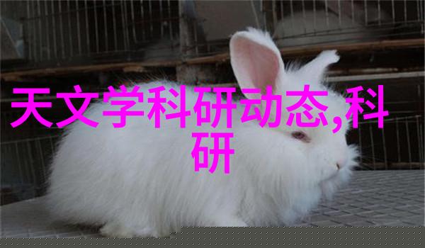 全友共鸣之旅的开始