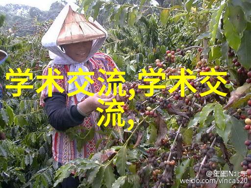 国产28nm的光刻机验收没通过我亲眼见证了技术的挫折与挑战