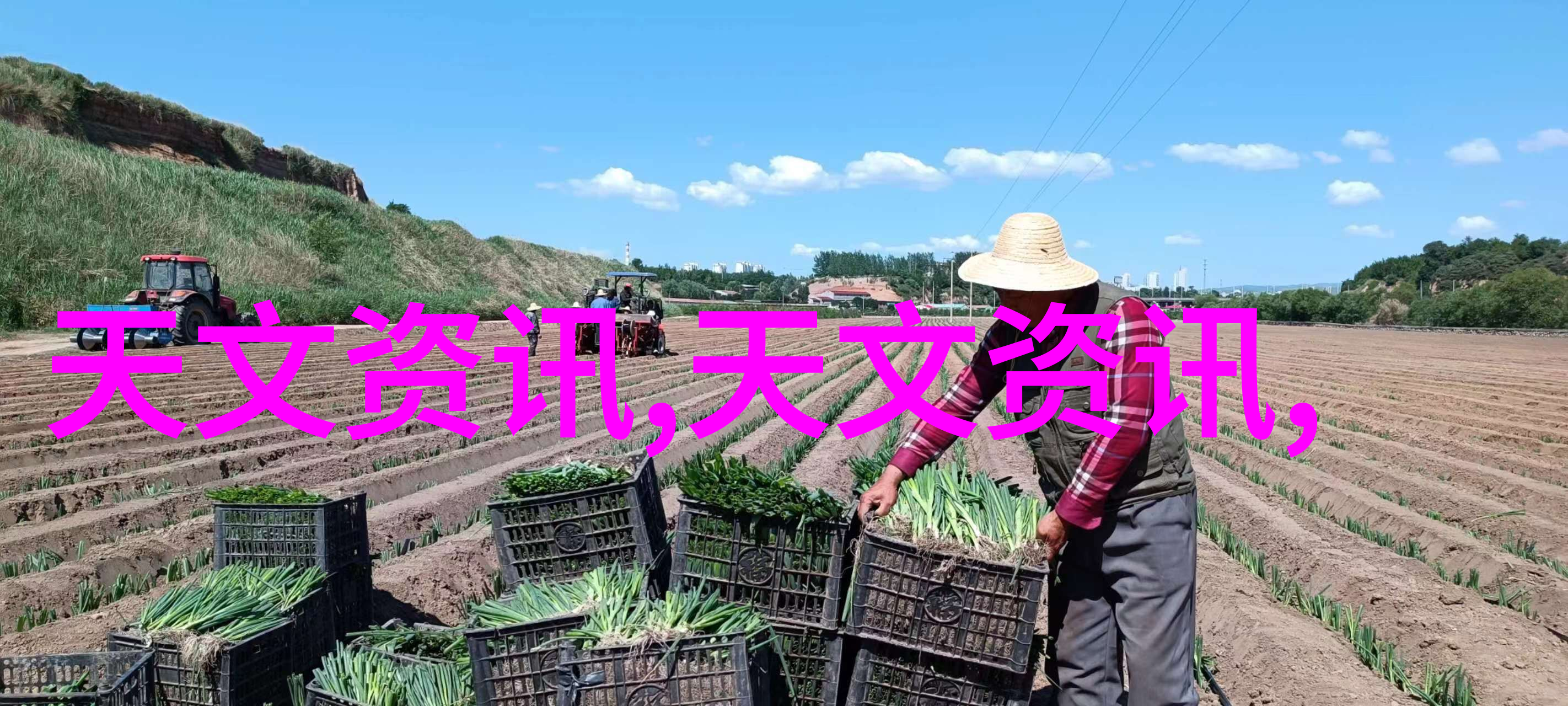 国际合作视角下的军用软件测评资质标准化趋势
