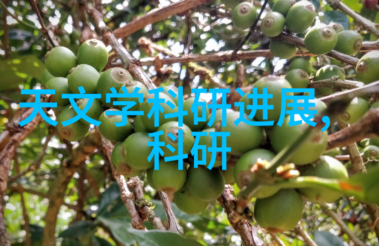 水域之歌工程者的河流梦想
