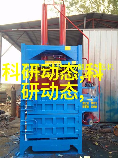 排水管的秘密生活潮湿的故事与坚韧的守护者