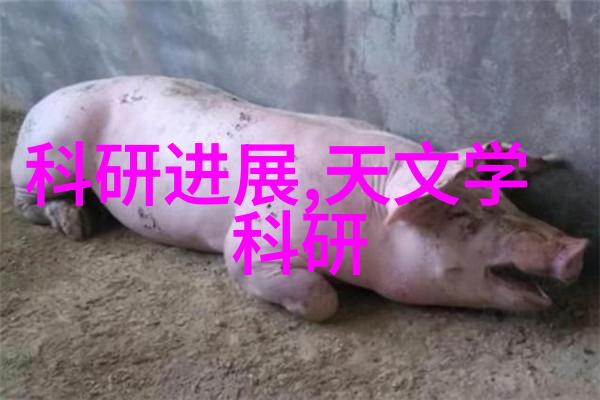 西方最大艺术视频作品西方文化艺术的杰出代表