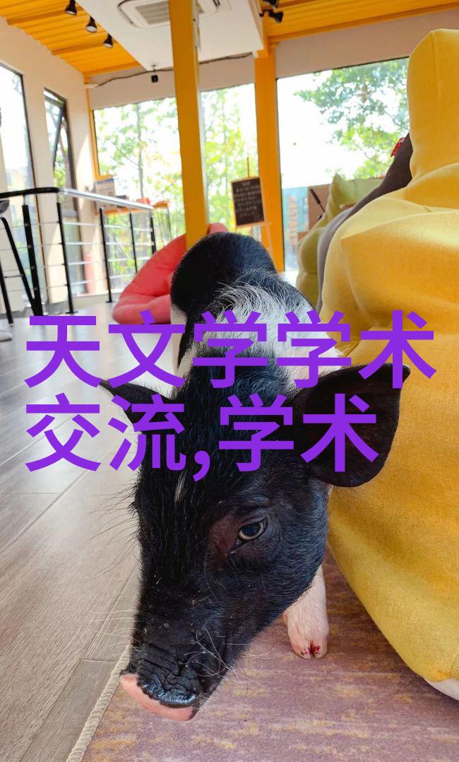 等离子灭菌器高效消毒设备