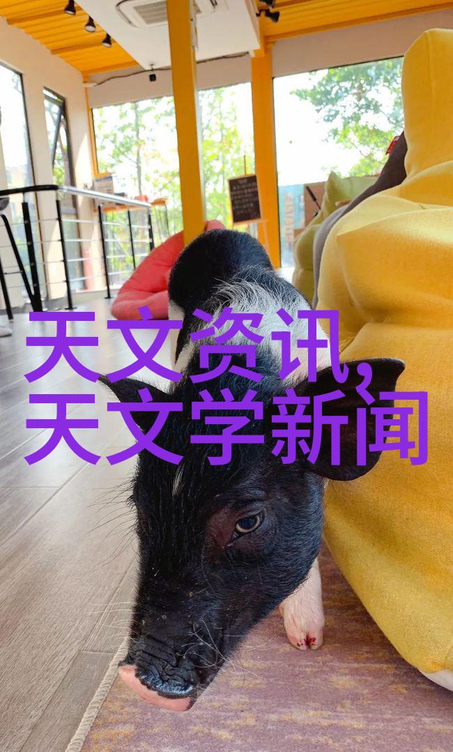 贵州实验室高科技设备先进的实验室仪器和设备