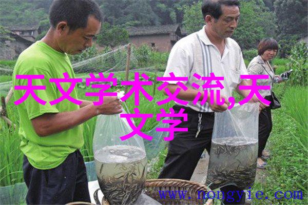 客厅室内装修艺术创意灵感从图片大全中汲取