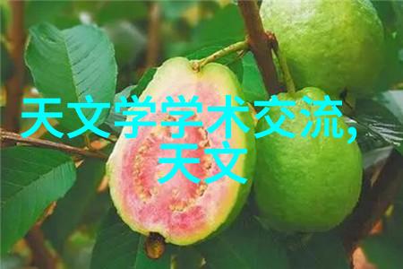 为何一个详细的可行性研究报告对潜在投资者至关重要