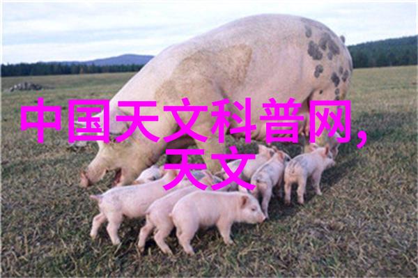 不锈钢加热搅拌反应釜能用于食品工业的制药吗
