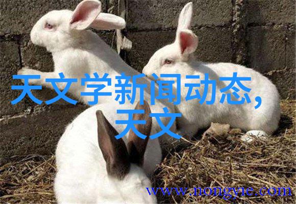 热浸塑钢管图片我眼中的金属艺术热塑钢管的奇迹之旅