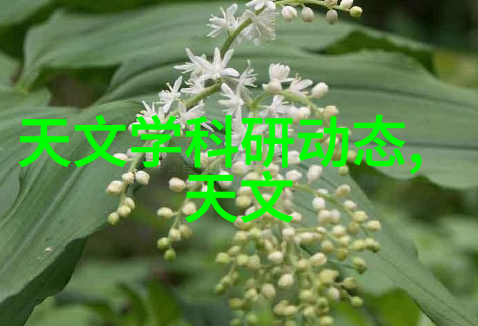 貂蝉双兔主题曲古风幻想的美丽旋律