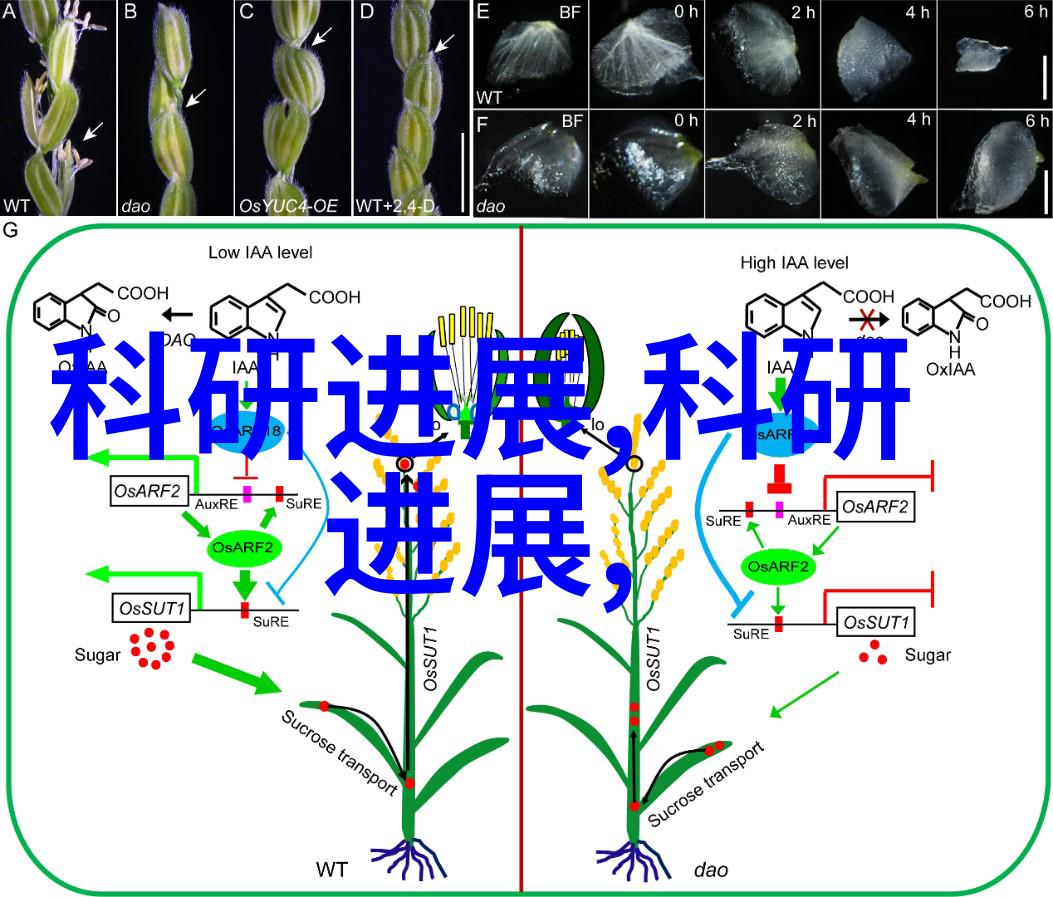 学渣坐在学霸的棒棒上写作业我是这场荒唐戏中的主角
