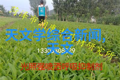 万圣节之夜NEKCO 17 17单槽便携机如同幽灵般悄无声息地出现它的存在让所有的电子设备都感到一丝