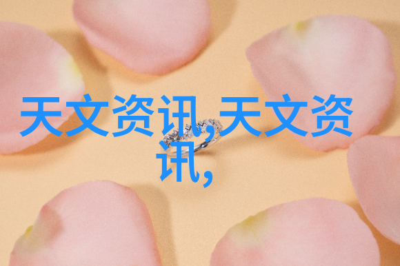 dn50金属环矩鞍填料hetp金属之心流体之韵