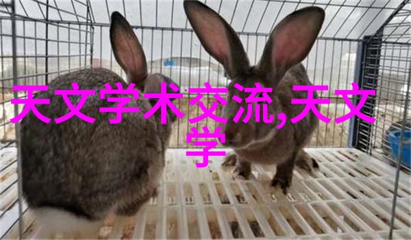 超低温冰箱冷藏新纪元的开端与挑战