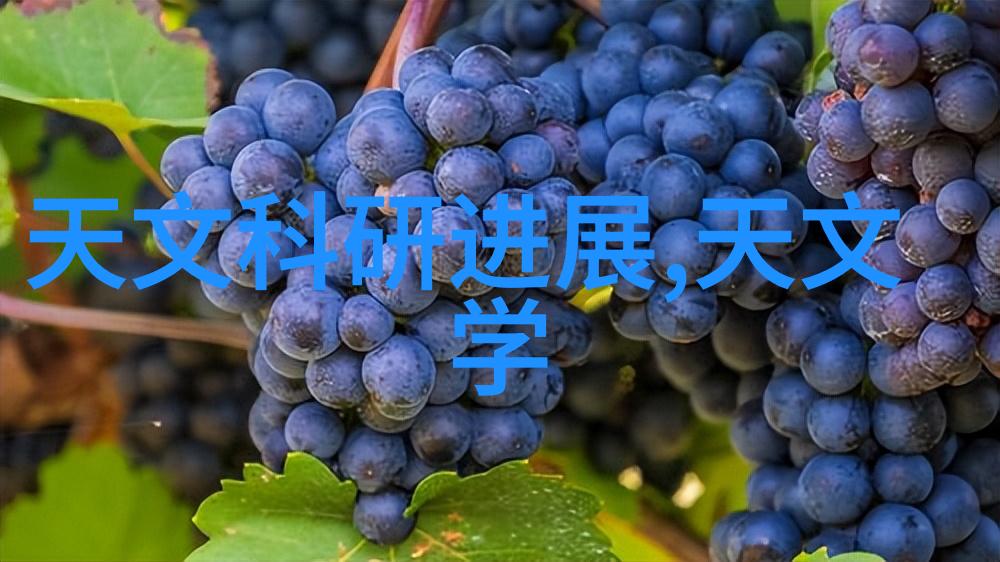 郑州装修设计打造梦之家追逐生活美学