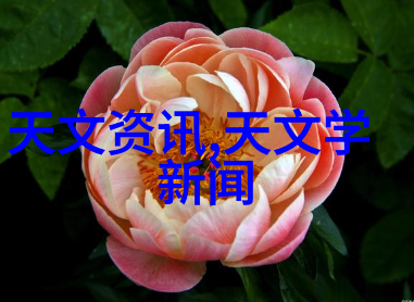 暖气换热器-温馨的转变如何高效地更换家用暖气设备
