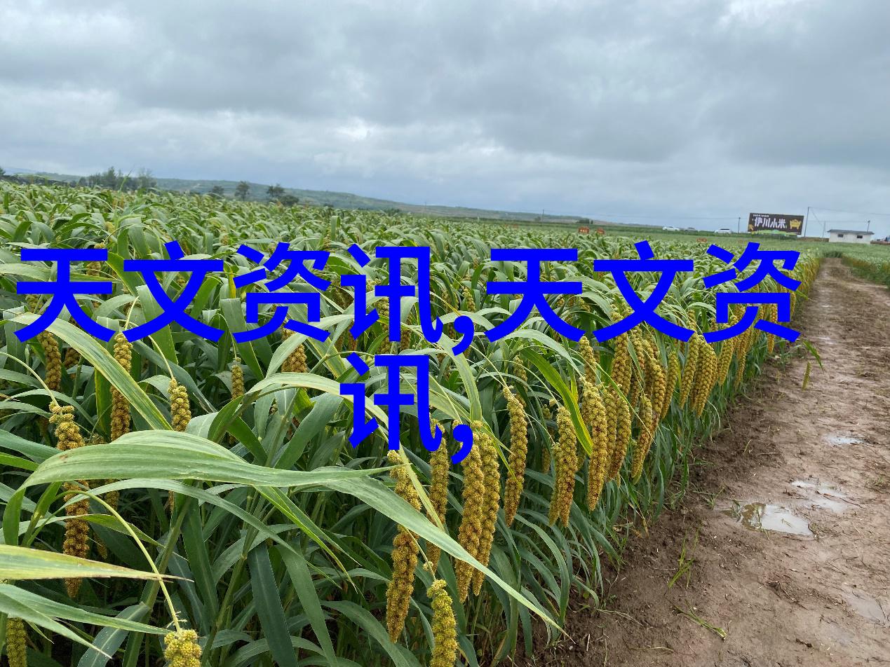 智能交通系统智能交通管理技术自动驾驶车辆实时路况监控高效拥堵缓解