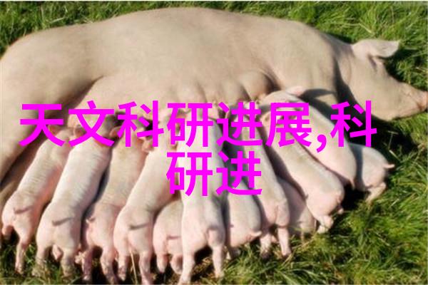 螺旋输送机设备的应用与优势