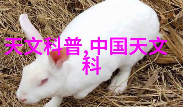 高压蒸汽灭菌锅规格型号我是如何挑选出那台完美的高压蒸汽灭菌锅的