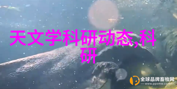 中国三大批发市场是哪里来看看这些热门的购物天堂