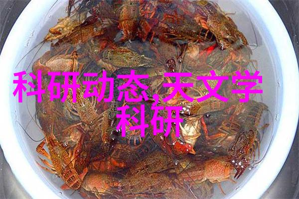 BGMBGMBGM老太太的高清视频奇遇探秘岁月静好的生活艺术