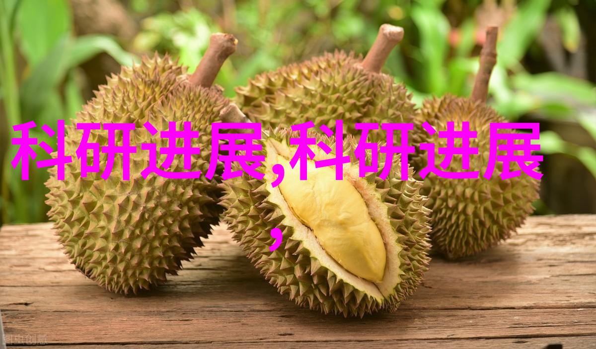 火焰的守护者燃烧炉的秘密与力量