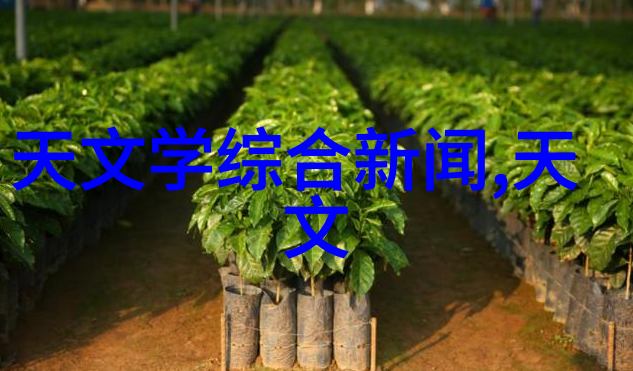 PVC管与PPR管的区别材料性能与应用对比