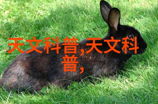 破碎之轮大型万能粉碎机的旋转诗篇
