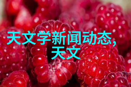 宝宝的扇贝奇遇夹巴之谜与海洋乐章
