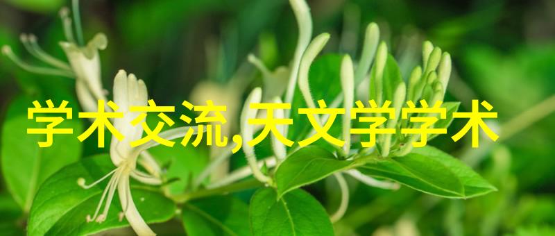 专业团队协作全屋定制如何避免设计误区