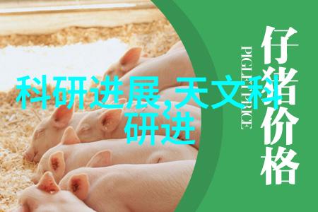 尘埃落定小型除尘器的逆袭之旅