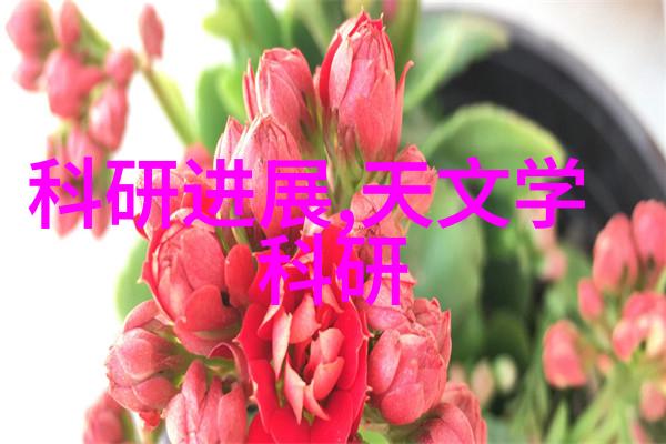 笑傲江湖书我在群山中寻找黄蓉的足迹