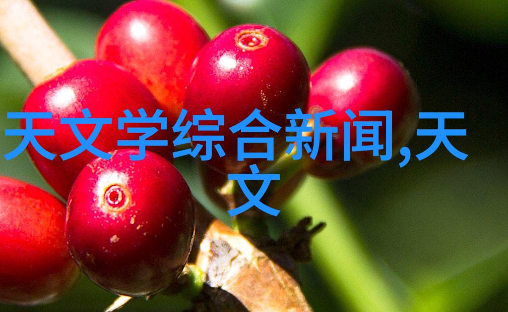 在现代设计中全包圆被应用于哪些领域最为广泛
