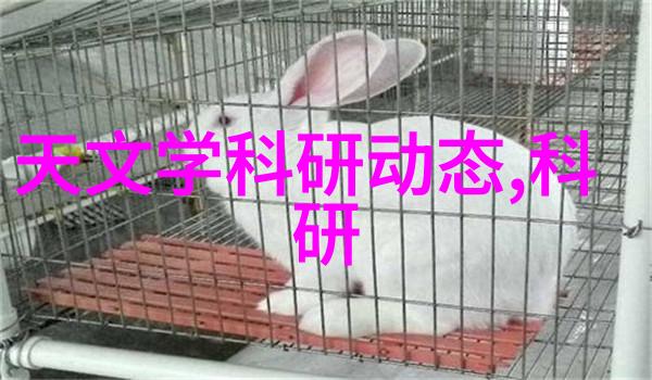 家居装修小技巧选择合适的墙隔断材料既实惠又简单操作