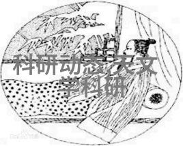 大连财经学院金钱之城的智慧殿堂