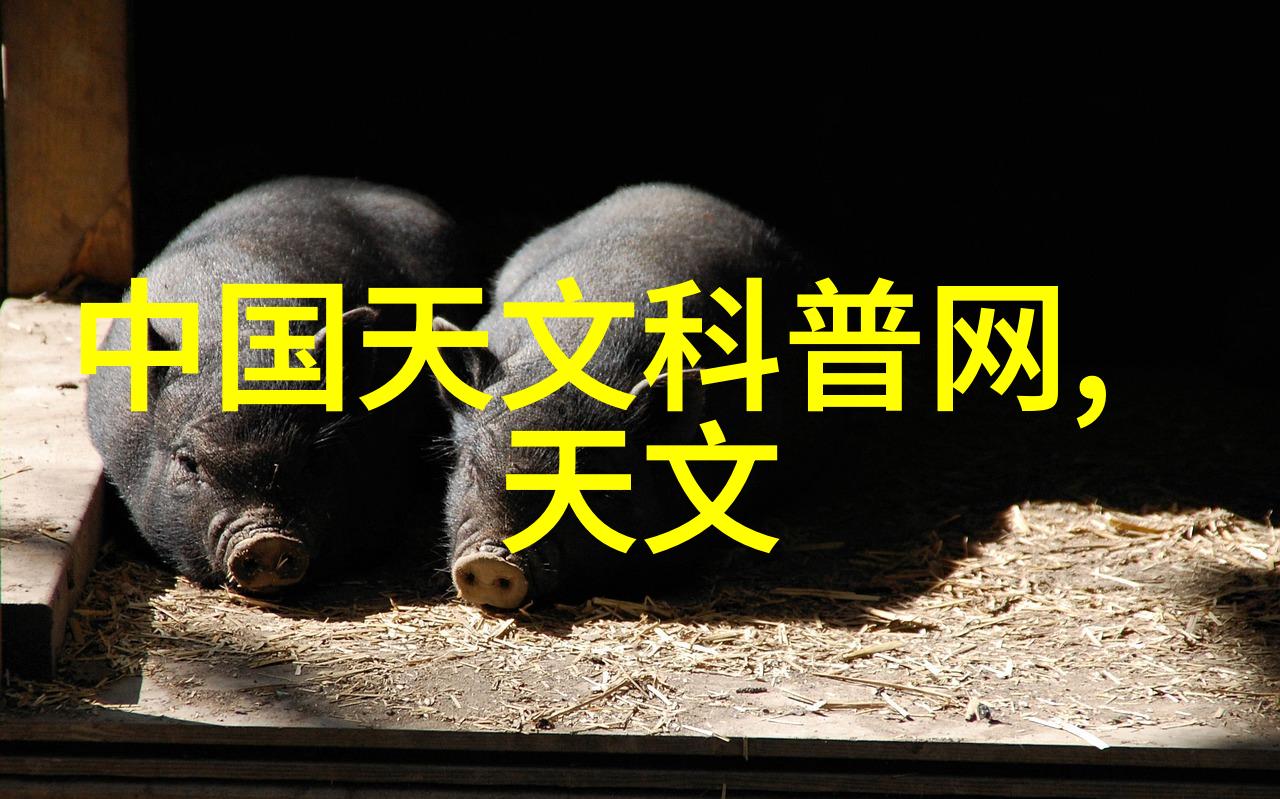 黄金滩揭秘井水发黄对人体的潜在危害