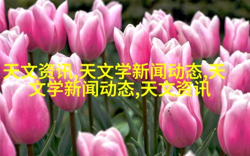 沉稳奢华中的宁静
